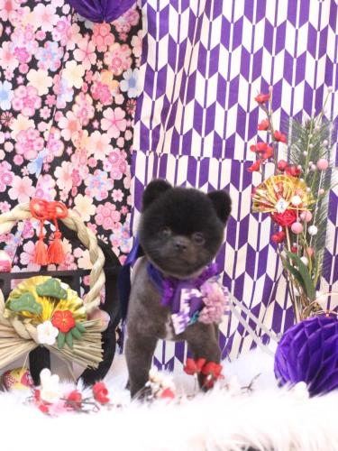 2025125ぽんずくん